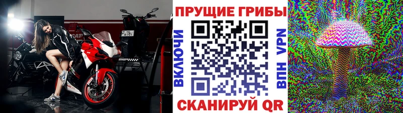 Псилоцибиновые грибы ЛСД  Староминская 
